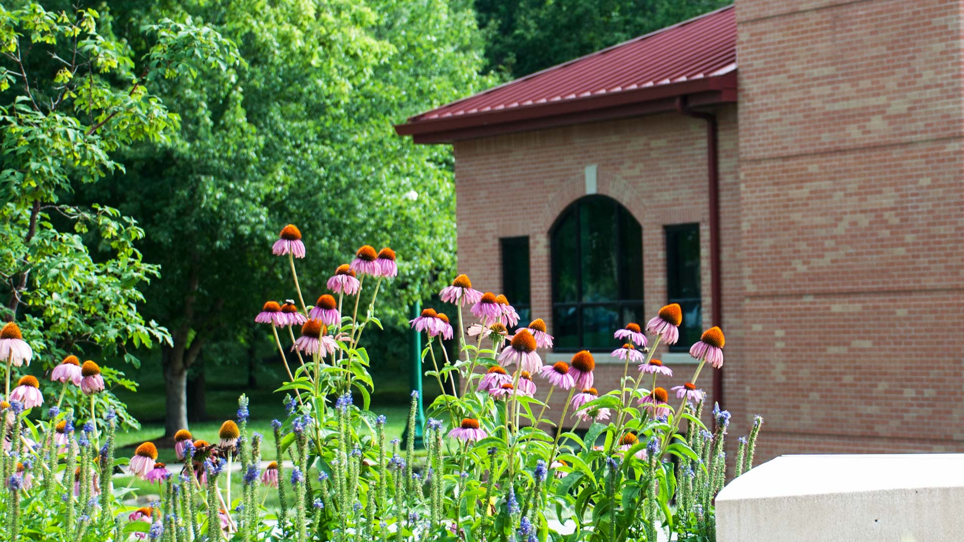 There are eight Greek organizations on the Baldwin City campus. There are eight Greek organizations on the Baldwin City campus.