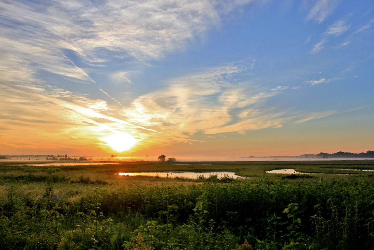Sunset image over baker wetlands
