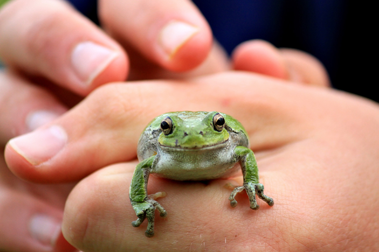 Student holding frog