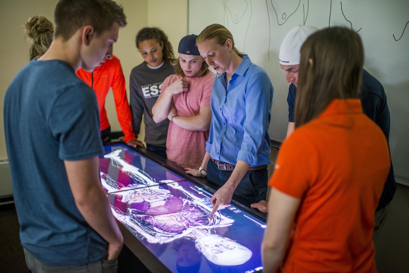 Exercise science students viewing virtual cadaver board with professor