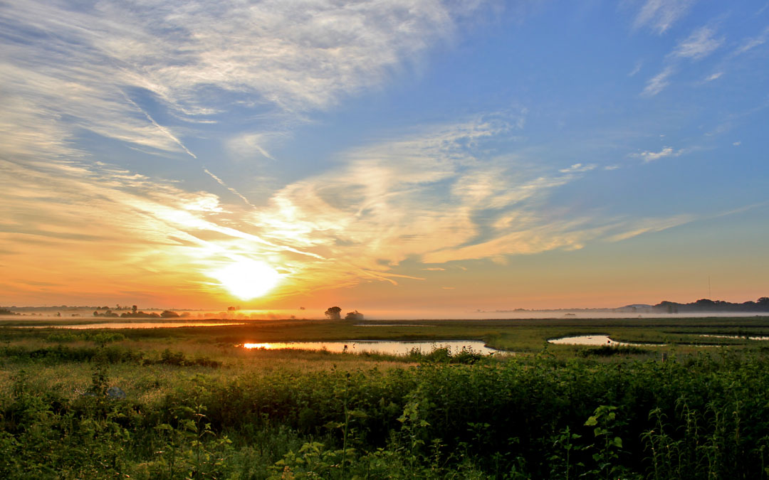 Baker Wetlands at sunset