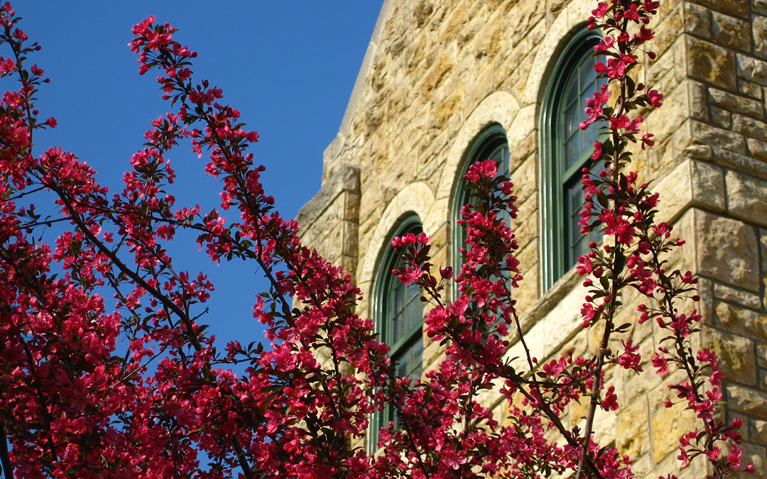 building with red leaves