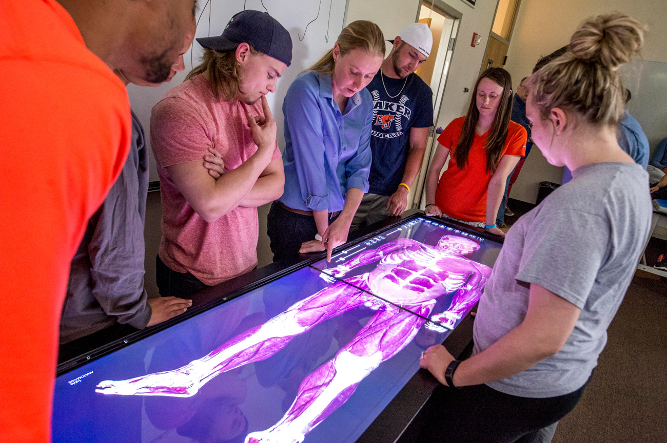 premed students viewing musculator system on a digital cadaver table