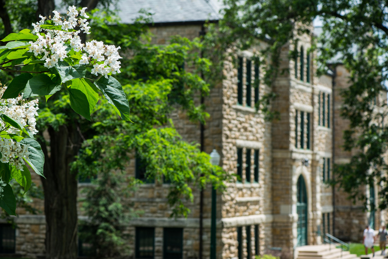 Photo of Mabee hall with blooming white flower tree in focus