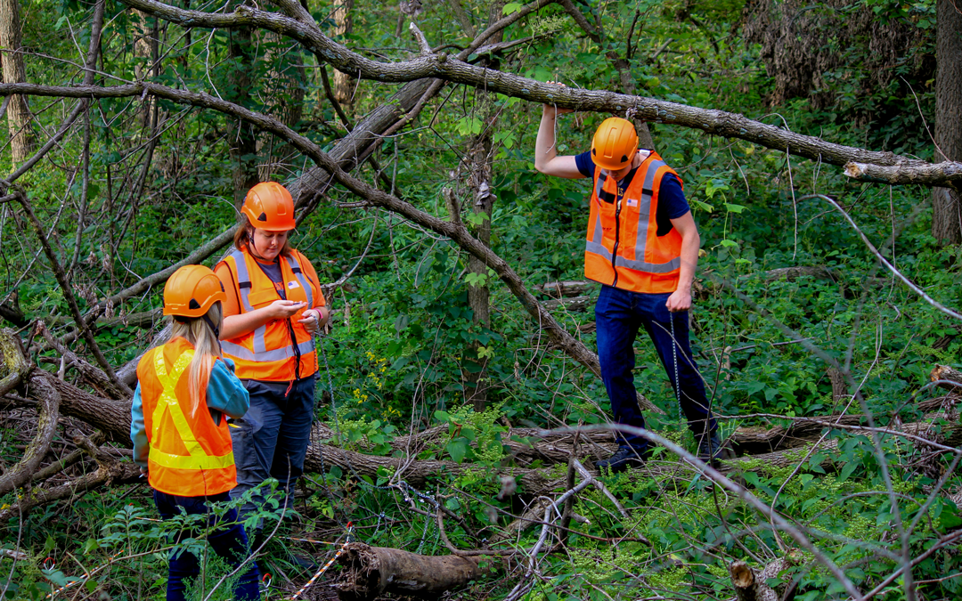 Three students surveying tornado damage at the Baker wetlands