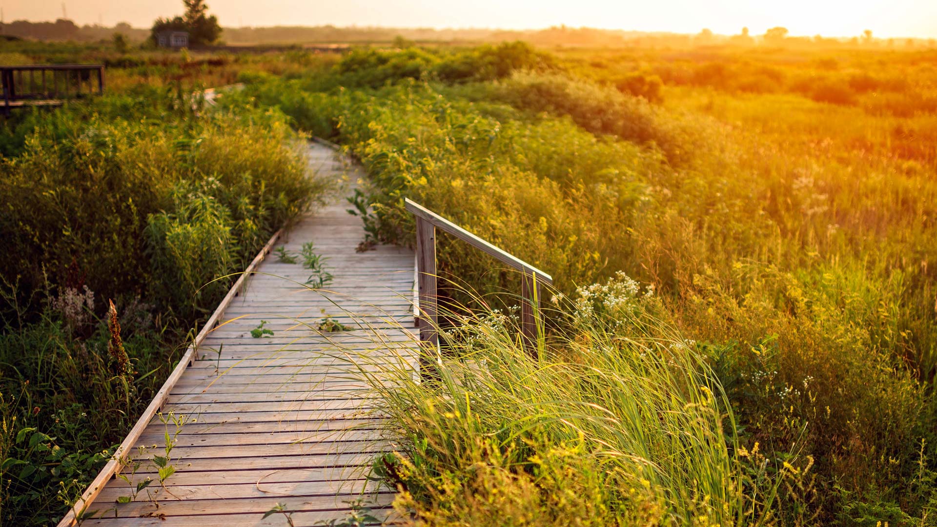 Baker wetlands at sunset