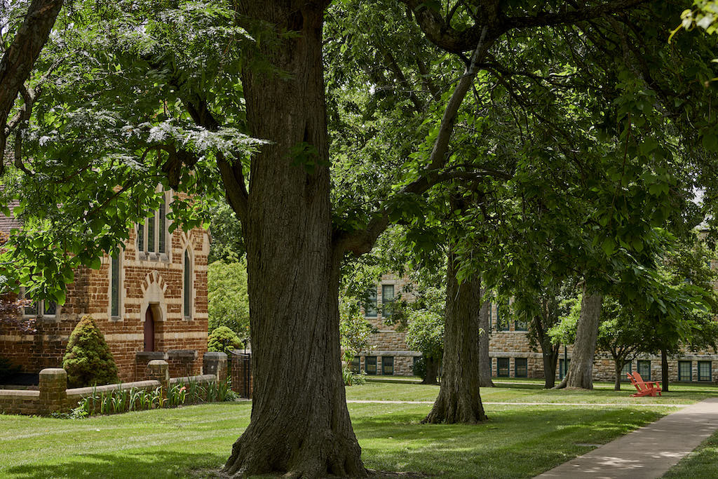 campus trees