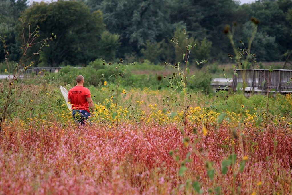 ecology student with net at the baker wetlands