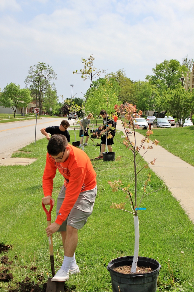 students planting trees on campus