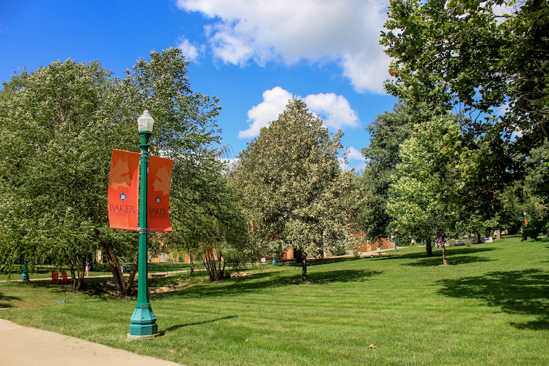 trees on campus