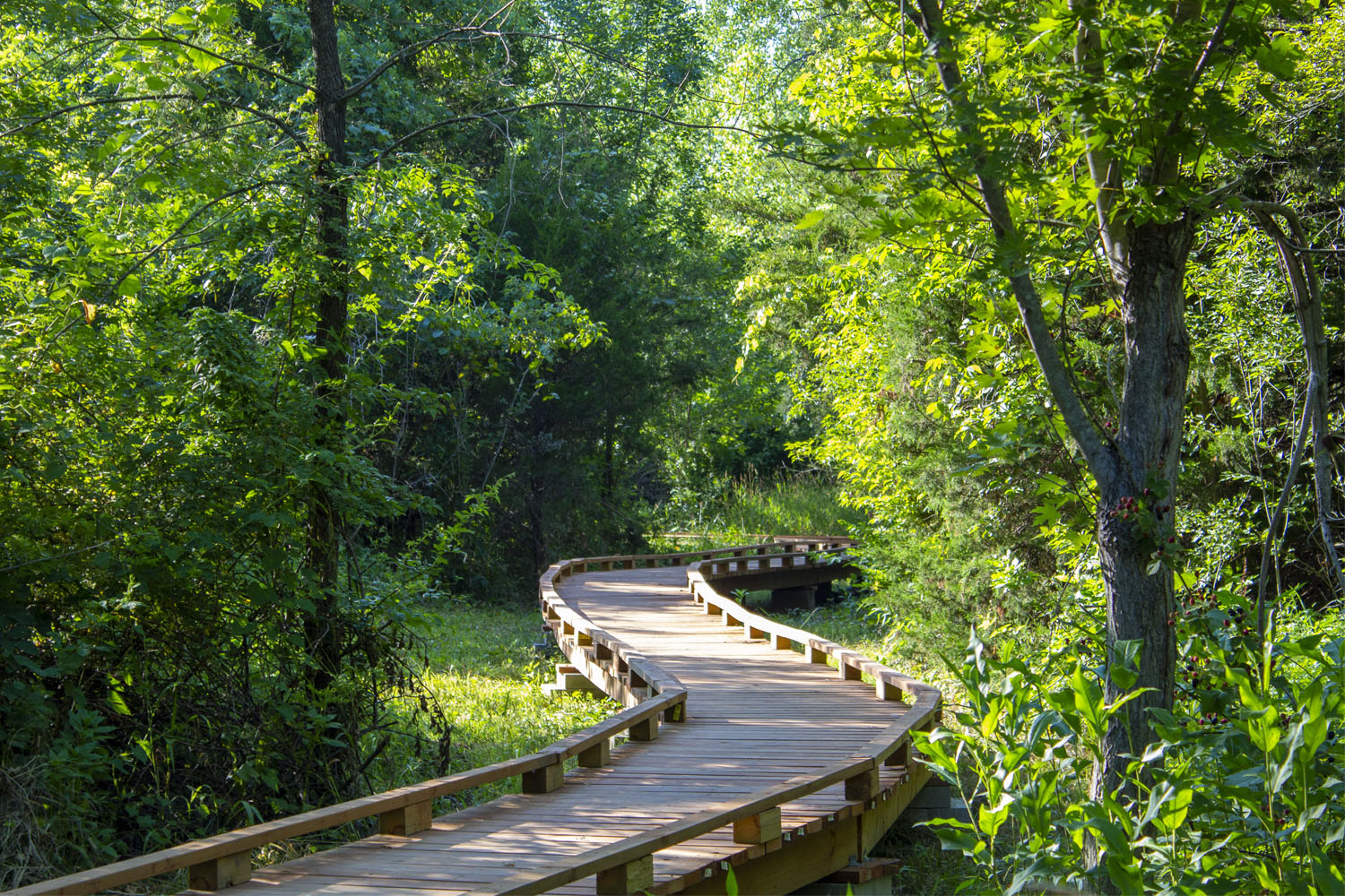 boardwalk on Baker campus