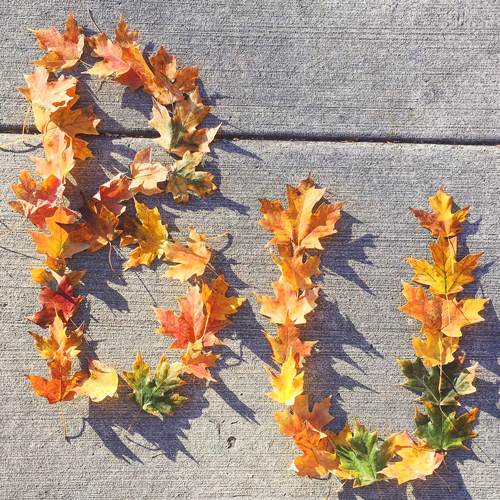 BU created with orange maple leaves