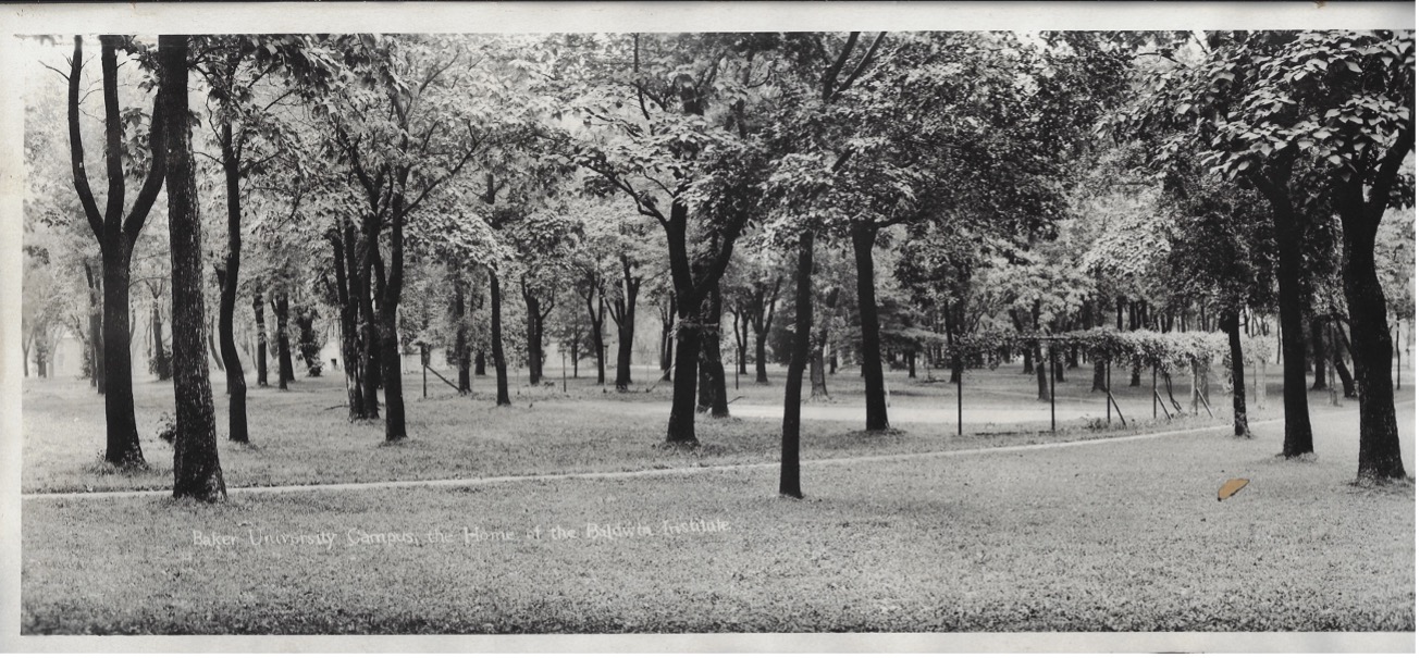 old black and white photo of trees on campus